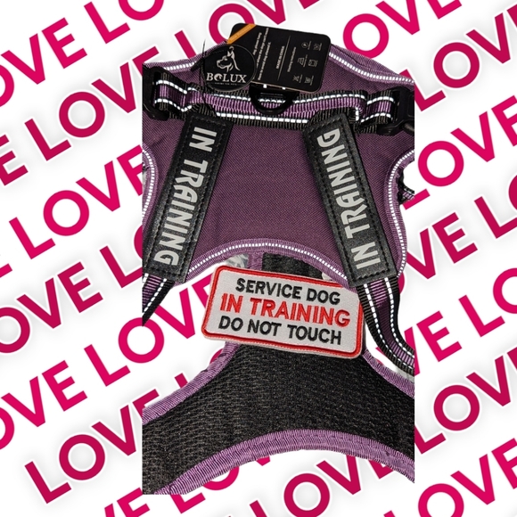 🐾 Dog Service Harnes by Bolux, XL - Picture 7 of 9